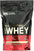 Optimum Nutrition Gold Standard 100% Whey Protein Powder Vanilla Ice Cream 1 Pound (Packaging May Vary)